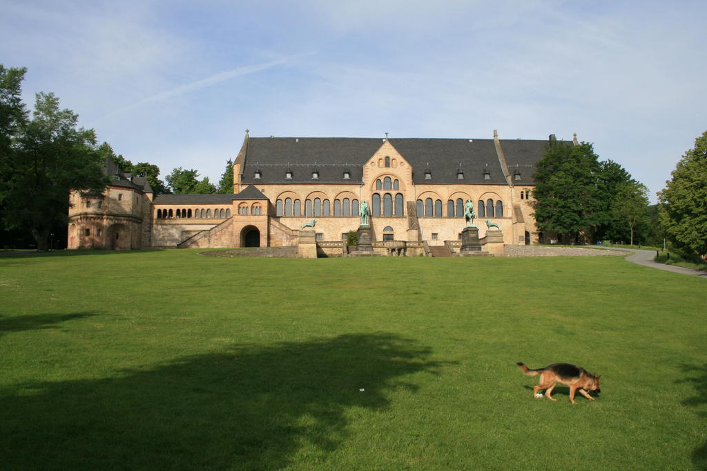 Fachwerkferienhaus Helmbrecht Goslar Eksteriør billede
